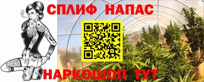 амф Будённовск