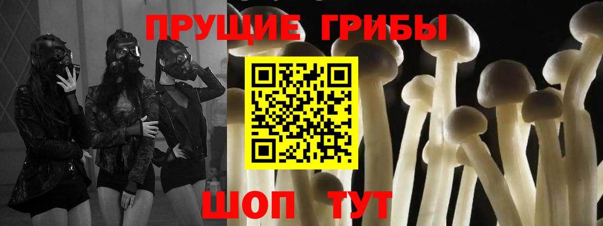 Псилоцибиновые грибы Psilocybe  Галлюциногенные грибы Psilocybine cubensis  купить   Вход с VPN  Омск 